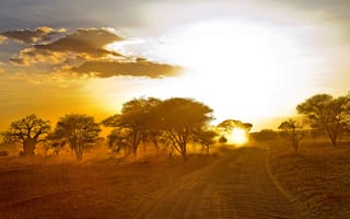 Картинка утро, пейзаж, дорога, Африка