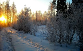 Обои snow, winter, nature, пейзаж, природа, зима, sky, beautiful, снег, forest, road, sunset, небо, nice, white, path, cool