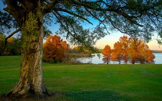 Картинка озеро, трава, деревья, осень, небо