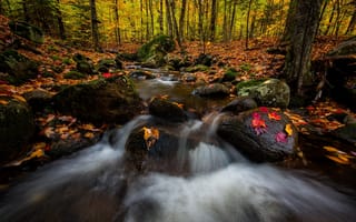 Картинка природа, река, лес, деревья, осень