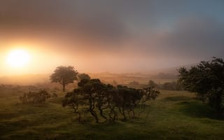 Картинка восход, туман, Англия, Корнуолл