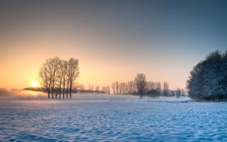 Картинка зима, небо, снег, солнце, деревья, поле
