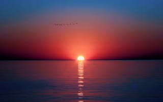 Картинка море, солнце, закат, небо, птицы, отражение
