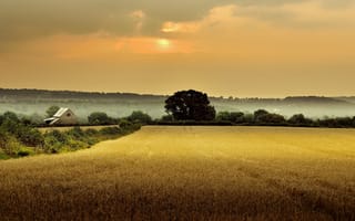 Картинка утро, деревья, поле, Англия, рассвет, дом, Глостершир, туман