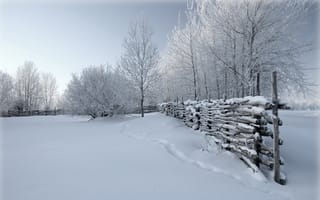 Картинка зима, природа, забор, снег