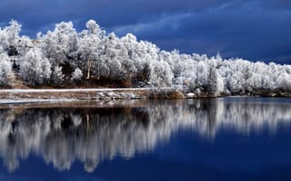 Картинка деревья, иний, река, небо, зима, отражение