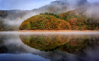Картинка осень, Люксембург, деревья, отражения, озеро