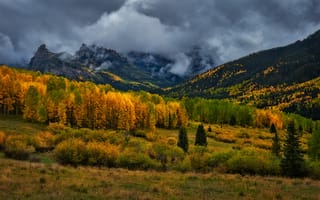 Картинка Сан Хуан Маунтинс, горы, лес, осень, Колорадо, США, тучи, дождливый день