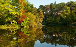 Картинка осень, деревья, Германия, река, autumn, river, отражение, Germany