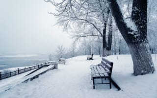 Обои парк, snow, снег, деревья, природа, зима, tree, winter, nature