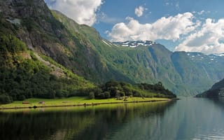 Картинка залив Фьорд, леса, скалы, Норвегия