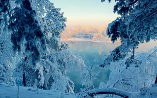 Картинка зима, снег, лес, сказка