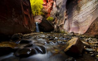 Картинка Zion National Park, камни, деревья, Юта, река, скалы, ручей, США, каньон