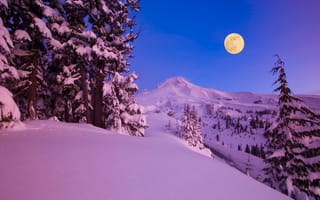 Картинка снег, зима, деревья, горы, ночь, луна, природа, леса, месяц
