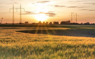 Картинка поле, небо, облака, провода, солнце, закат, вечер, деревья