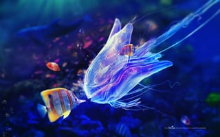 Картинка под водой, рыбы, медуза, синева, пузыри, щупальца