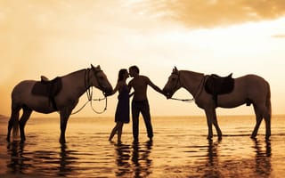 Картинка Photo, девушка, белые, закат, пара, love, sentiment, отношения, море, парень, лошади, feeling, romantic