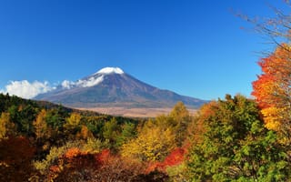 Картинка гора Фудзияма, осень, листья, небо, Япония, деревья