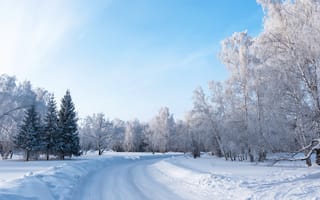 Обои зима, пейзаж, снег, природа, деревья