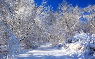 Обои природа, небо, зима, снег, дорога, деревья