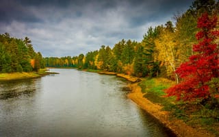 Картинка осень, деревья, река, пейзаж, красиво