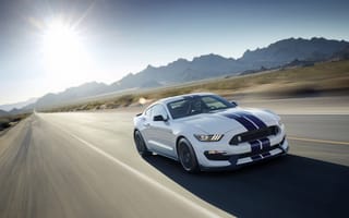 Картинка Mustang, Shelby, 2016, GT350, Ford