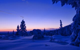 Картинка снег, облака, Норвегия, небо, лес, деревья, зима, вечер, закат