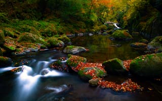 Картинка природа, осень, река, лес, листва, поток, камни