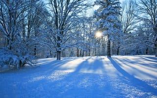 Обои snow, зима, деревья, снег, природа, winter, пейзаж, beautiful, дорога, path, sunset, cool, sky, forest, небо, white, trees, лес, nature, road, nice