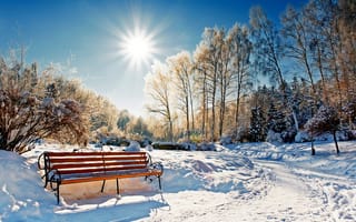 Картинка парк, nature, bench, sun, зима, forest, солнце, park, лес, winter, scenery, sunset, cool, скамейка, пейзаж, sky, landscape, небо, snow, снег, природа, nice, white, beautiful