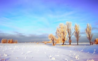 Картинка зима, иней, поле, снег, облака, деревья, небо