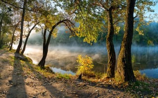 Картинка утро, осень, Донбасс, деревья, Украина, Святогорск, река, Северский Донец, листья
