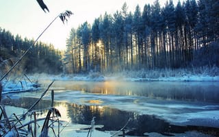 Картинка зима, деревья, река, пейзаж, снег