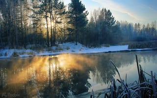 Картинка утро, пейзаж, снег, деревья, природа, река, свет