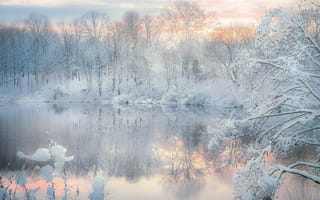 Картинка озеро, зима, лес, вечер, отражение, снег