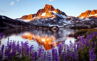 Обои гора, цветы, озеро, скала