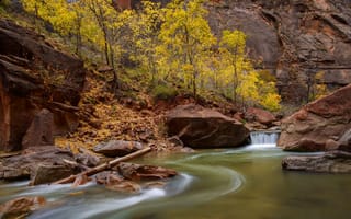 Картинка Zion National Park, деревья, Юта, река, ручей, скалы, камни, США, каньон