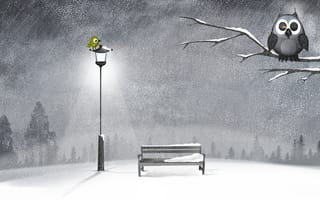 Картинка дерево, зима, снег, фонарь, сова, ночь, лавочка, птичка