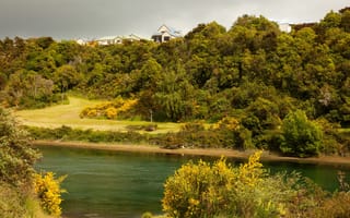 Картинка Waikato, Новая Зеландия, дома, возвышенность, деревья, кусты, река, зелень, берег