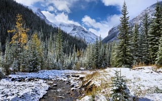 Картинка деревья, пейзаж, горы, речка