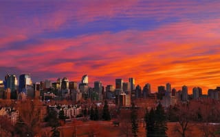 Картинка city, Alberta, skyscraper, skyline, trees, sunset, Canada, park