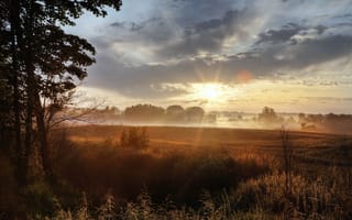 Картинка поле, свет, утро, трава, солнце