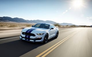 Картинка движение, скорость, трасса, пустыня, Shelby, GT350, Mustang