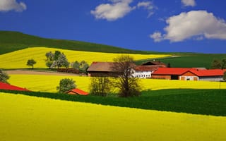 Картинка Лето, белые, ферма, домики, облака, деревья, небо, синее, поле