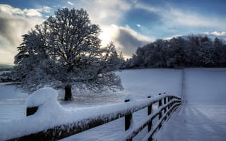 Картинка природа, снег, зима, деревья, облака, забор, дерево, небо