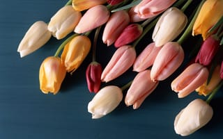 Картинка цветы, тюльпаны, поверхность, разноцветные, бутоны, букет