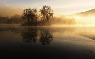 Картинка туман, озеро, деревья, утро