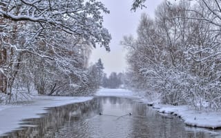Картинка зима, деревья, река, природа