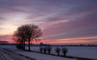 Картинка закат, пейзаж, поле, деревья, зима, природа