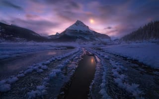 Картинка снег, Национальный парк Джаспер, горы, Канада, ночь, лунный свет, зима, Альберта